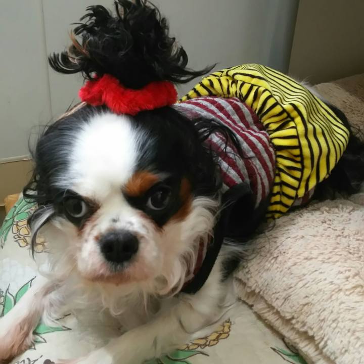 4d613713 7f8c 48bd b5ac dedf9749ef67 1517710351216