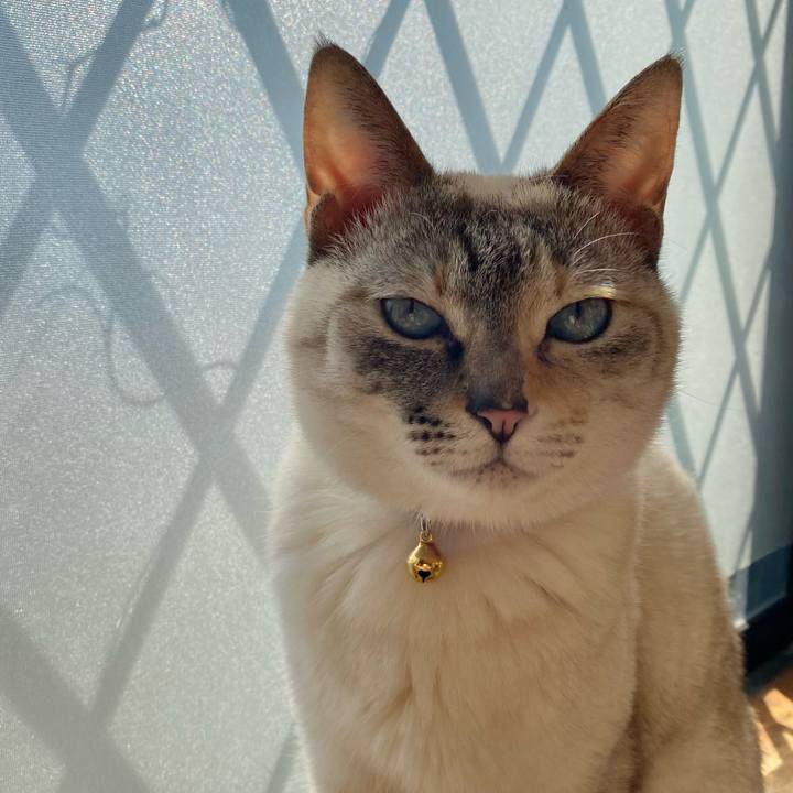 4d61492c 4825 4796 8513 c9ac3dc6a9ec 1707728046587