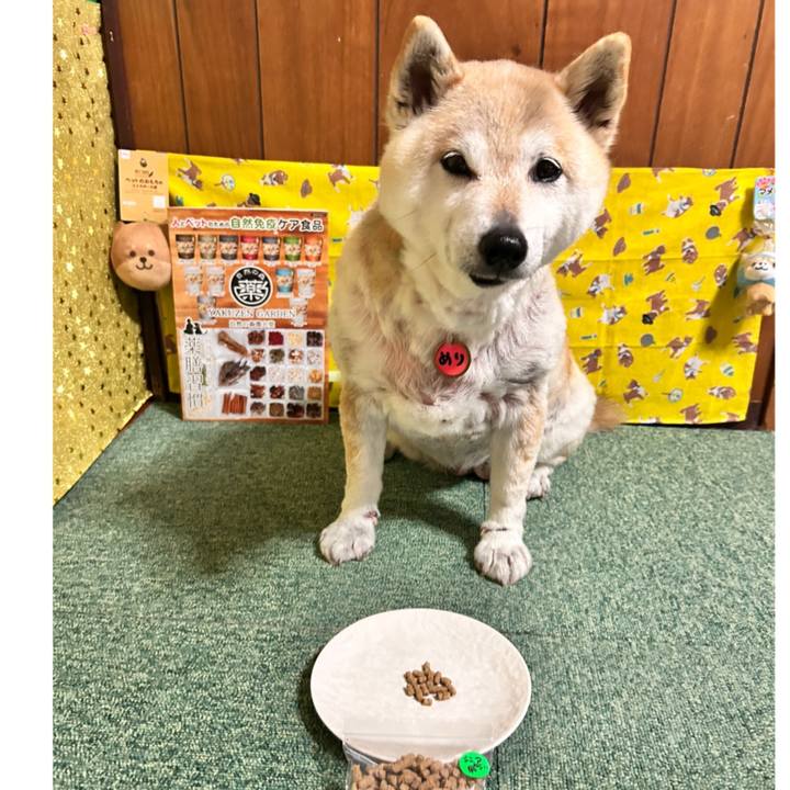 4d6166bc fa5e 4c8d a825 ebe6f1d50194 1746874531483