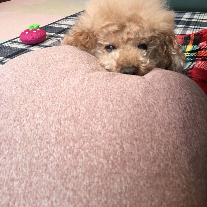 4d619f0f 5021 44db 9c5f 24a555c362ca 1519532691424