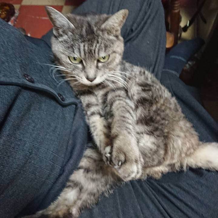 4d61e34f b7b5 4696 aa9b ea3c5c500cc9 1578473868104