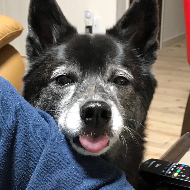 4d61fb58 c363 4682 8e98 ff3522ee34fb 1614748321837