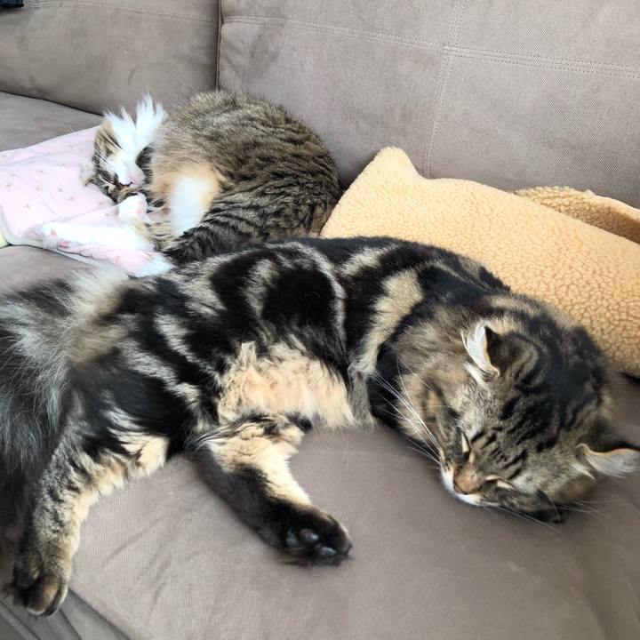 4d62217e ce93 4daf b770 c89221de2e92 1572587408101