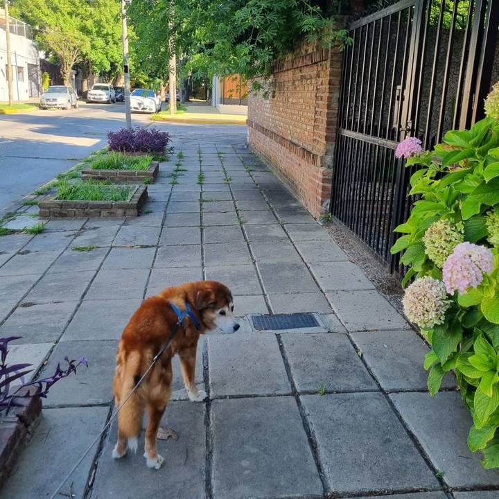 4d62ab22 68cf 40ca adad 5be7ebbdb6dd 1768694132876