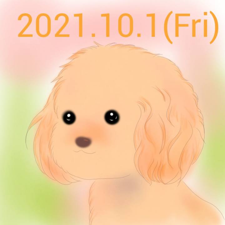 4d62fdf5 672b 41ef b674 c1a4610b8a69 1633094475152