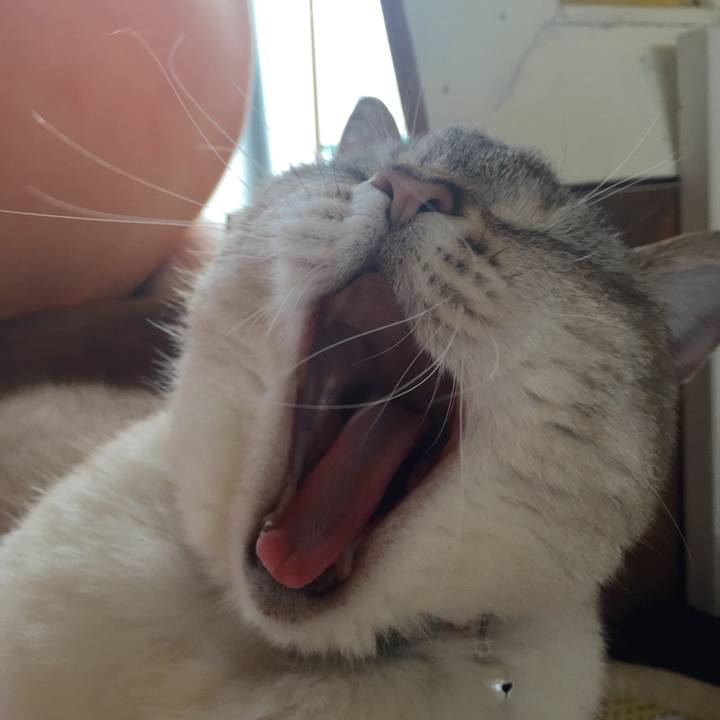 4d6304f7 002c 458f 899d 98923b93012f 1528445683710