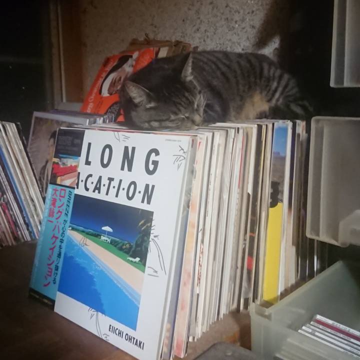 4d630e4b 5f26 4a88 8ba3 16d906d29b88 1660829040753