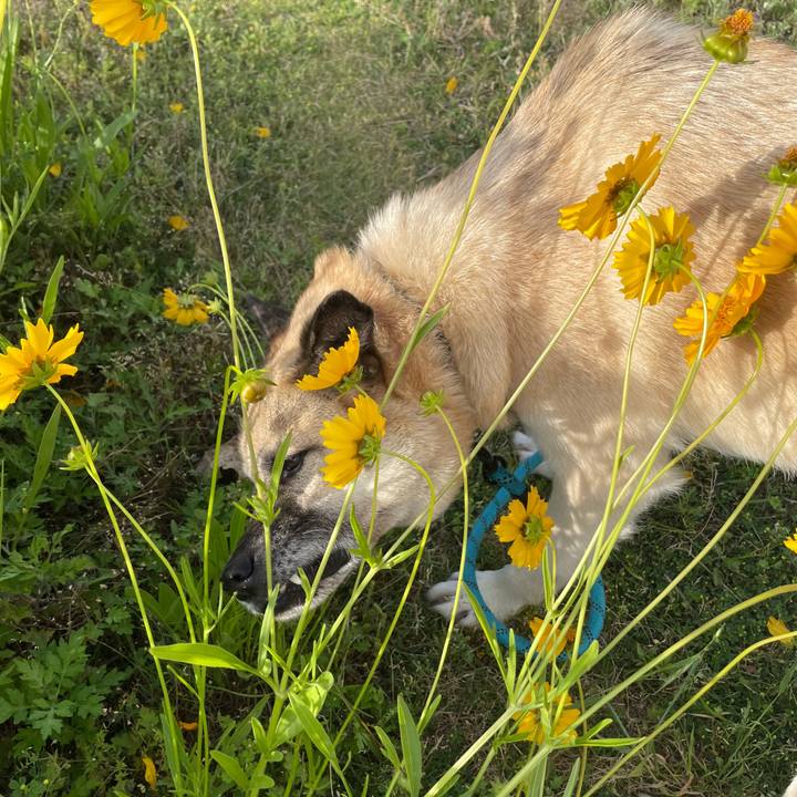 4d632ef2 afd1 4c8a a543 be6eae2048eb 1684845402441