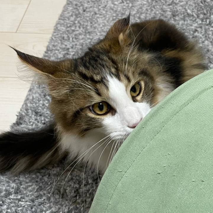 4d632f4b 465d 4f21 bc1e de82f2ec6716 1636834735861