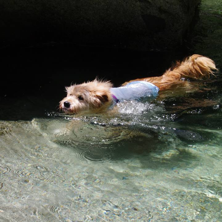 4d633c16 cfcb 4677 85c2 4710be64456f 1657508781808