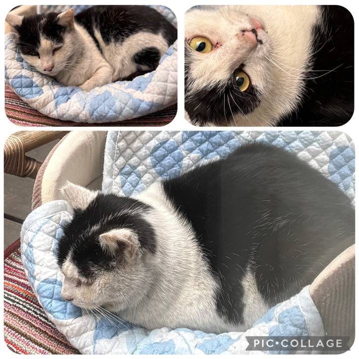 4d6341c5 4c1e 46d5 a6df 5a73a3132499 1776921847530