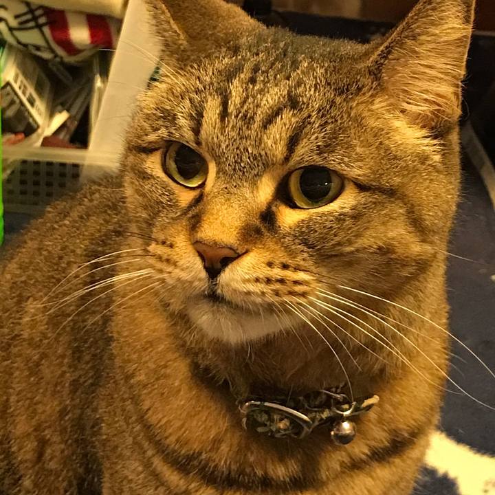 4d637608 0373 4b57 afb8 c1fe240bd11a 1523286381027