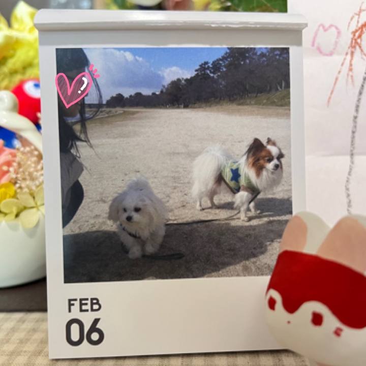 4d6376f7 8f1d 4268 a156 28c5801219f0 1770372696031