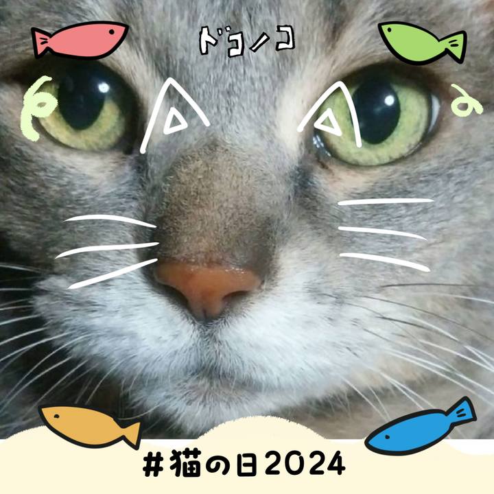 4d639a39 09e4 47f5 82b2 c2258cf873aa 1708551172169