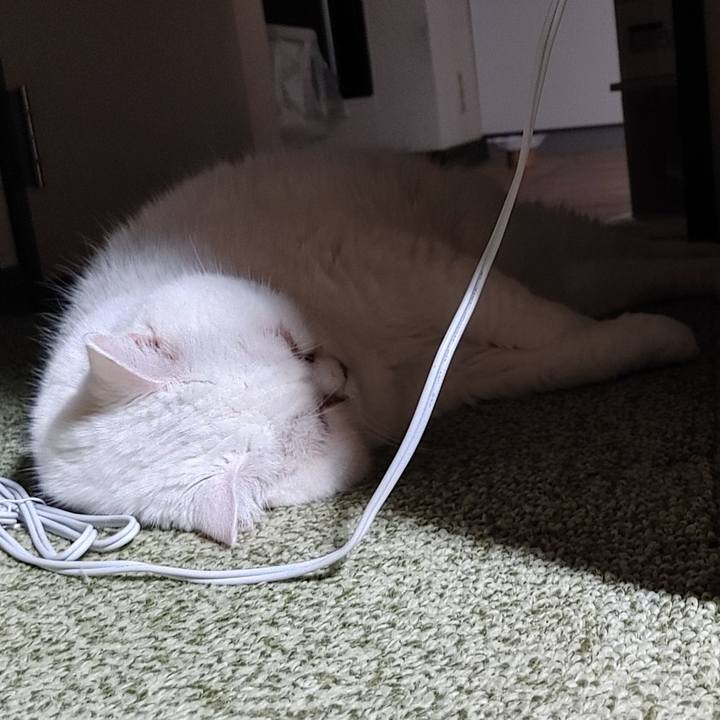 4d63a173 ed5c 469a a143 4f449fb5e497 1749896925156