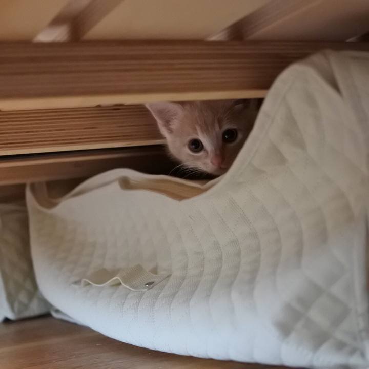 4d63e642 948b 4312 97d4 c26128021ca0 1541395157303