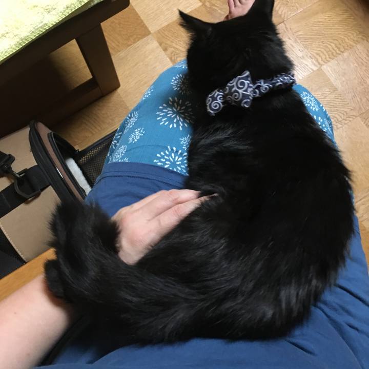 4d6438db d67a 4944 8bf5 f0702d81a310 1537878719072