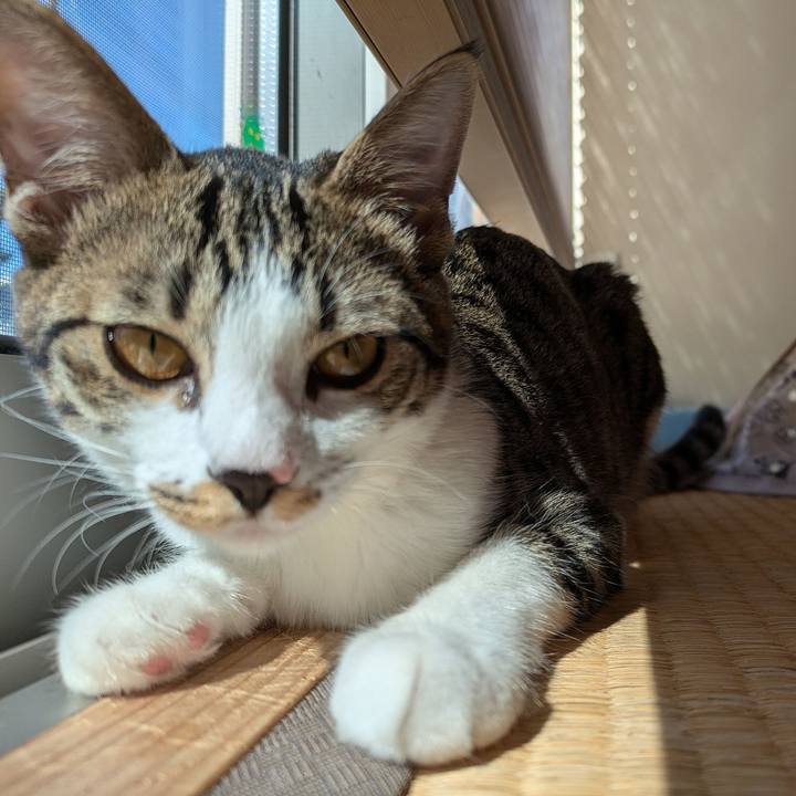 4d644808 6229 4bff 88e3 920154d83e99 1728971697679