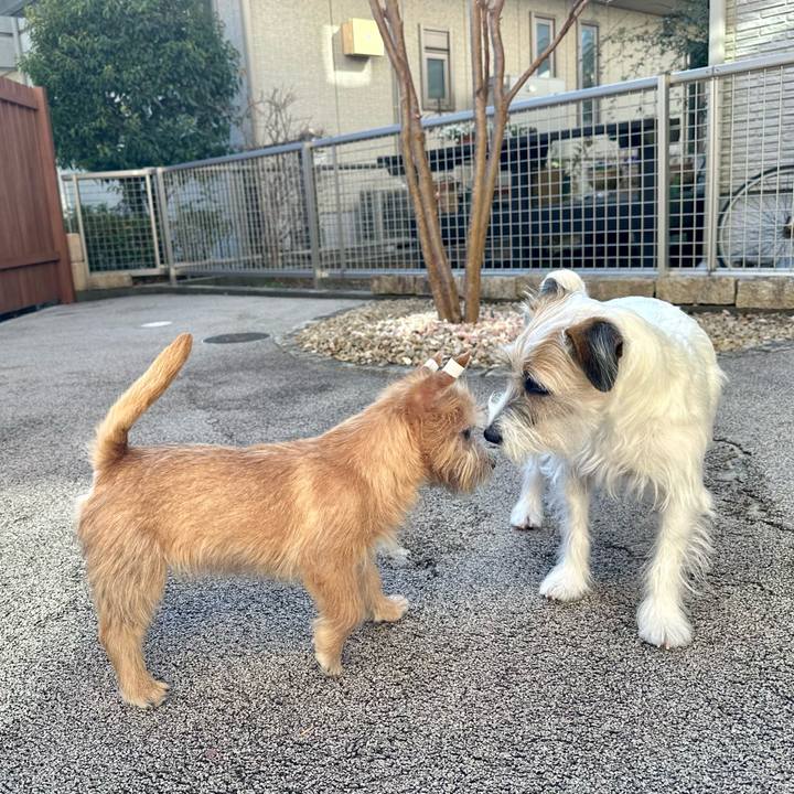 4d647623 f65a 42a0 bf97 b4a9f0e0c4c4 1705151088876