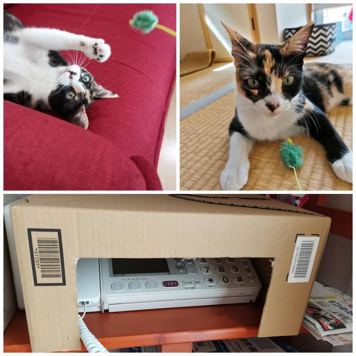 4d64a12b fd9e 4276 b710 622af4e39026 1600762641731