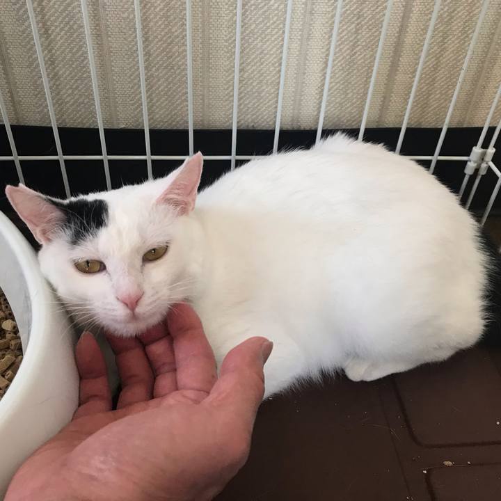 4d64b0ad f09c 4be9 a423 34c11127d3fa 1551014574128