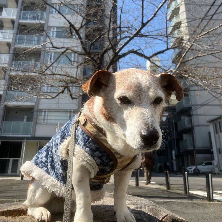 4d64c45c 1bb0 49c7 b066 f34ce718ba21 1773799843749