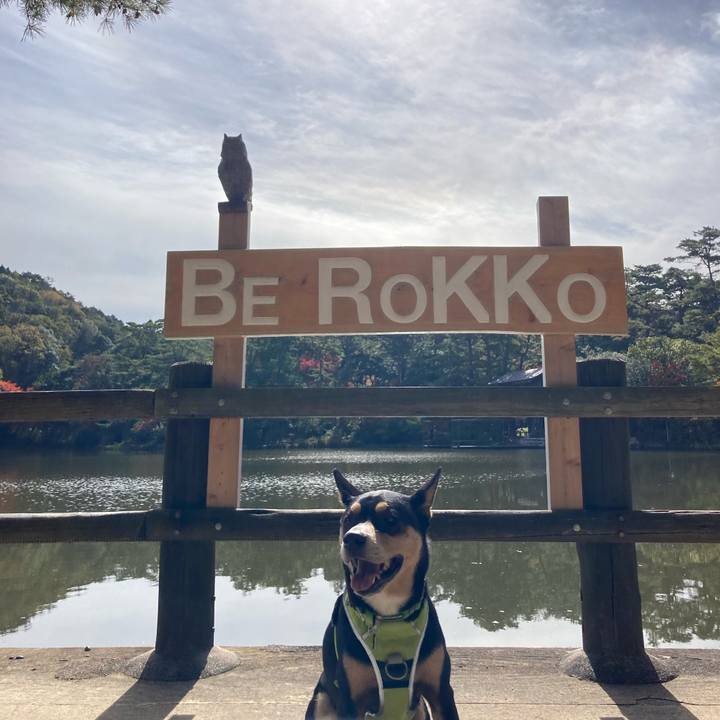 4d64e188 f521 4d91 841e 008c86df5638 1636236512186