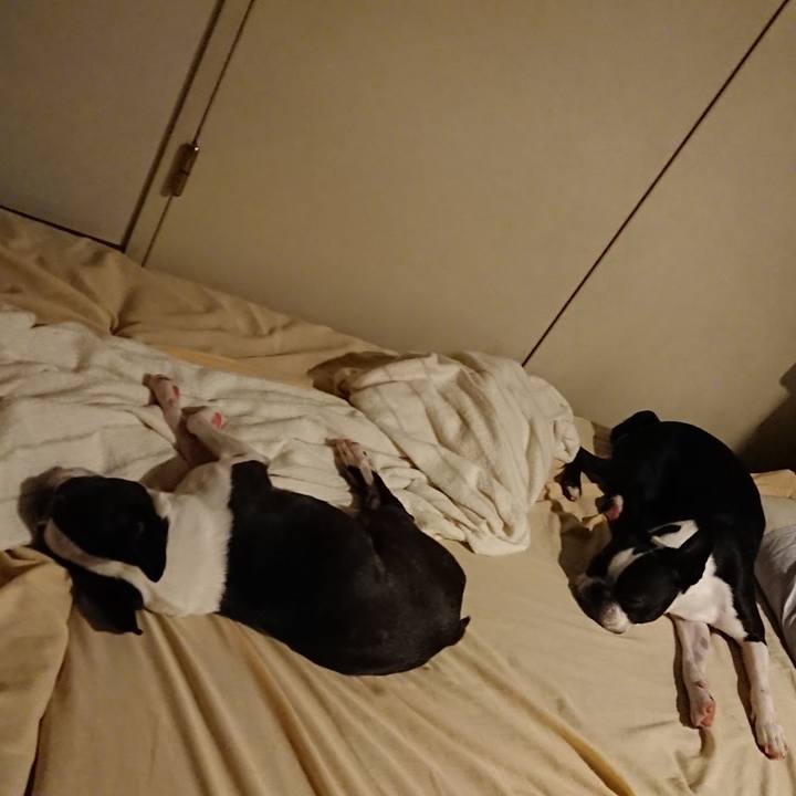 4d64f9ce cf4e 4b5b a386 bf3e63e176d7 1531319369639