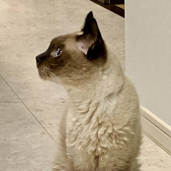 4d65068c b3b4 42f0 8018 22bd1285cd0f 1634256098635