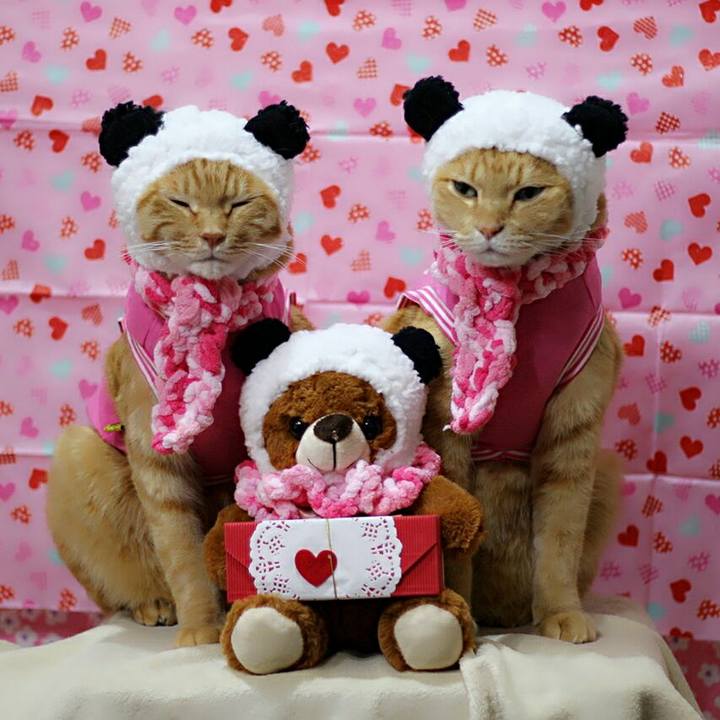 4d650b10 d220 44a8 9708 dd4448dc7905 1518358701445