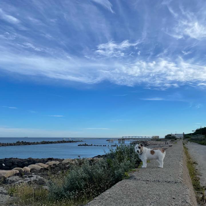 4d650dbf 1f3a 4c71 8c31 a88f7dff425e 1663457133955