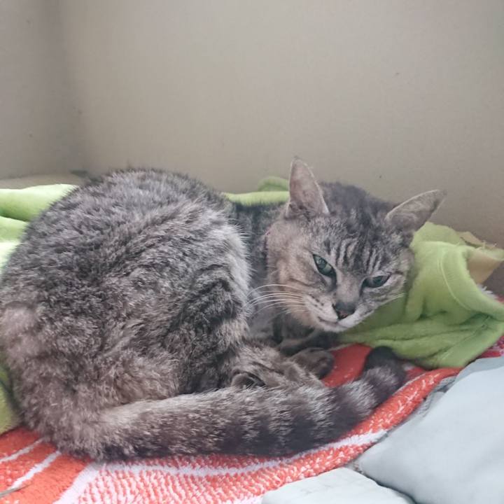 4d651251 6d9c 482e 8844 47dcd54e62e4 1593121802337