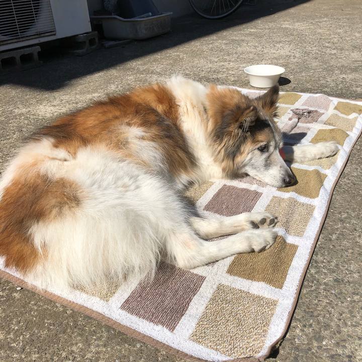 4d651979 4c82 4e1d aeb5 23bf2169b0e6 1518924365557