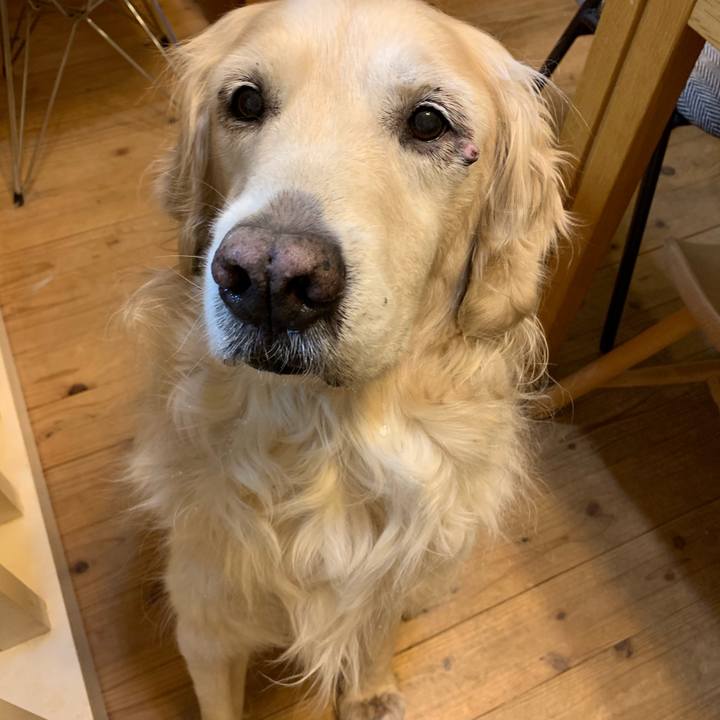 4d65460a 5f11 48a5 adef d1af1686dfb7 1553950649364