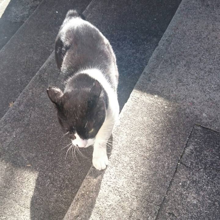 4d654ae3 8118 4210 b7ba 3c75f51d2771 1516025921831