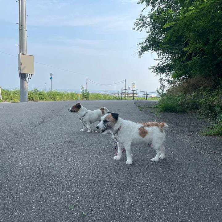 4d657e51 b7da 464c 9e81 40b0af4e9524 1720913077971