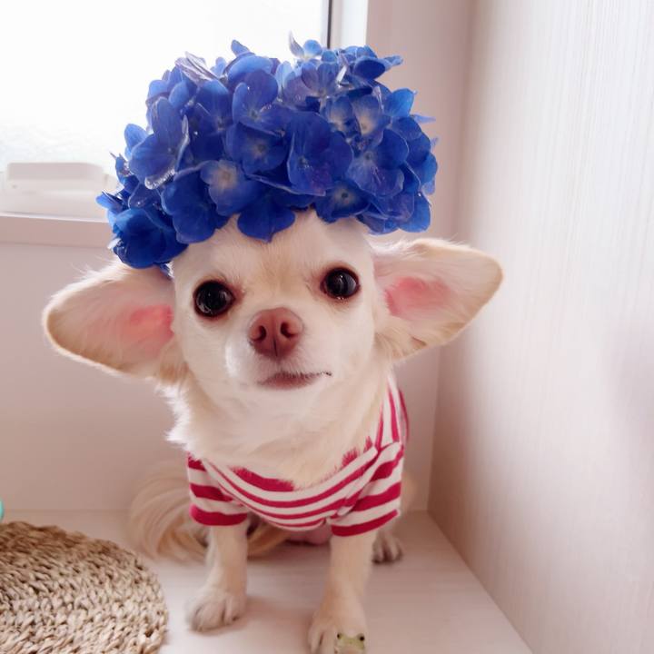 4d658954 588d 434a bfb3 aead998273e3 1694339812335