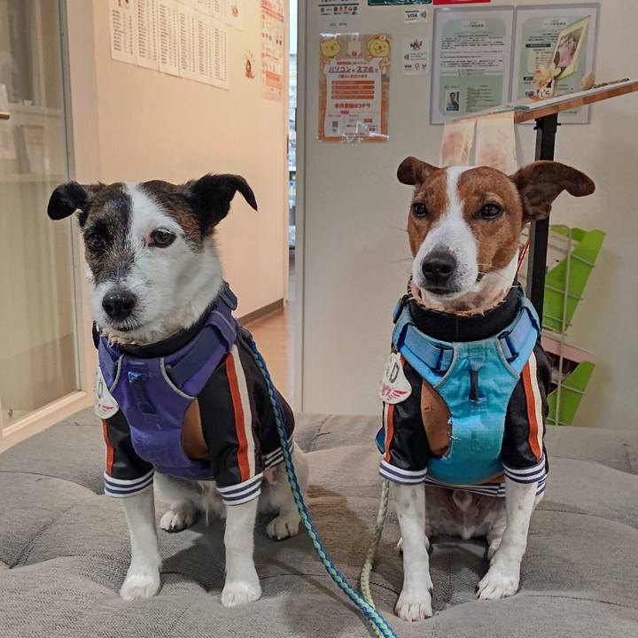 4d6596a6 cac8 4220 97a1 0aac15594a8b 1674974573945