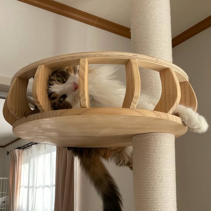 4d65c9a3 8f14 4a3f 82b9 69fc2d7c9e06 1674263825712