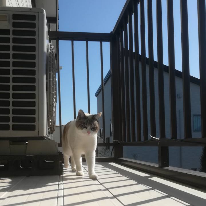 4d661bd6 0de4 43ea 96e3 cdb79be29e16 1518918807876