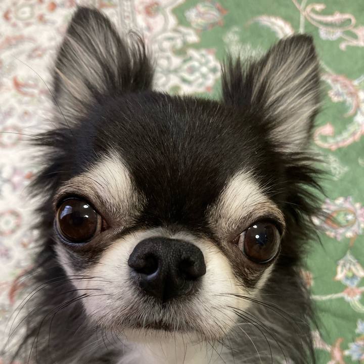 4d66472d 7596 4f81 8634 ad739875c7a3 1668209683889