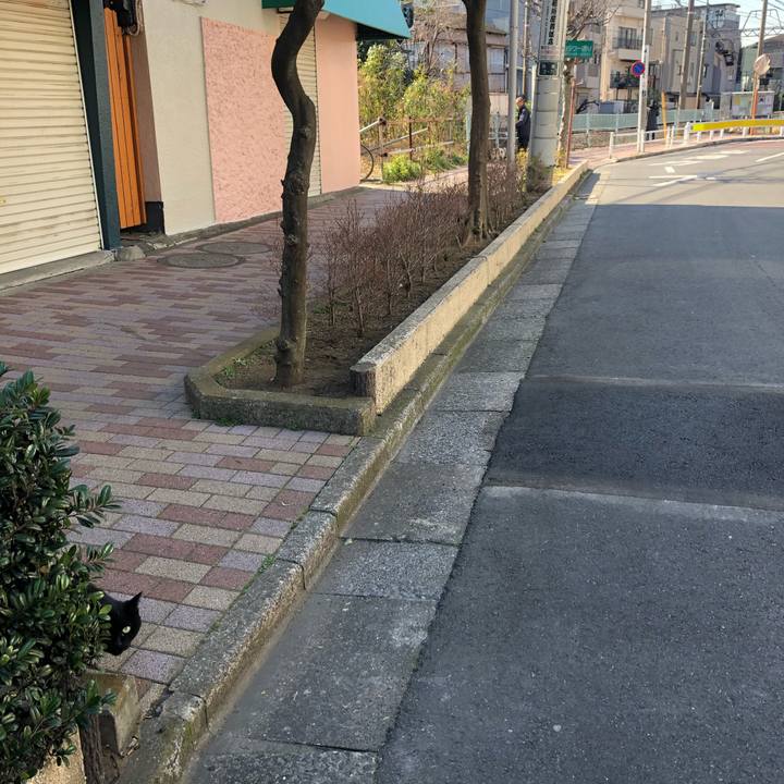 4d6648c5 dfe3 4df4 a053 4736e21af79d 1583132415794