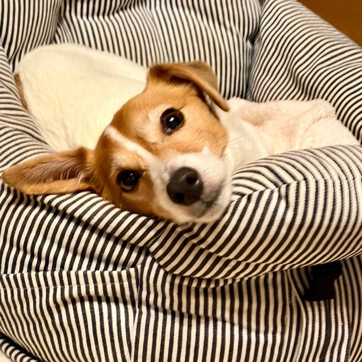 4d66588a 3129 48a7 9758 a9129970b53b 1774097182814