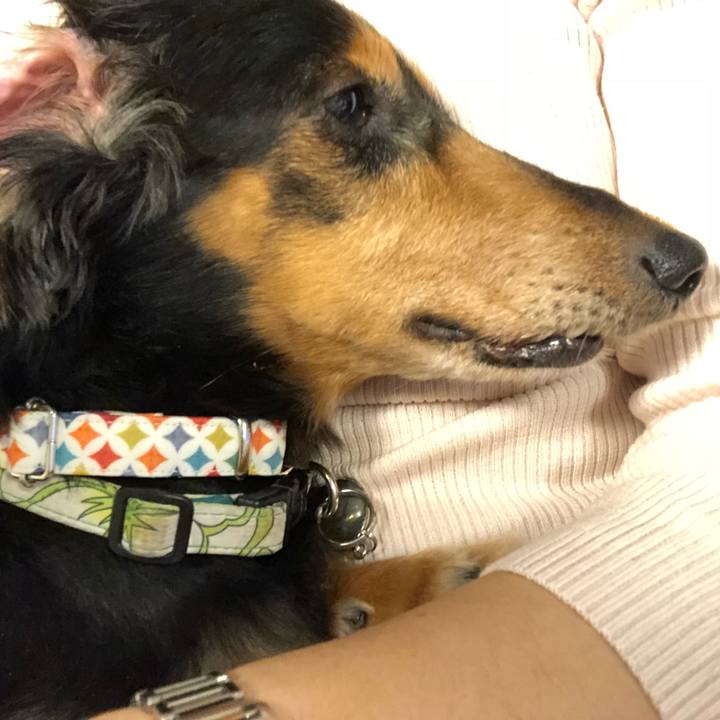 4d667143 3809 49b3 a9c2 5f98c81a606a 1541164716130