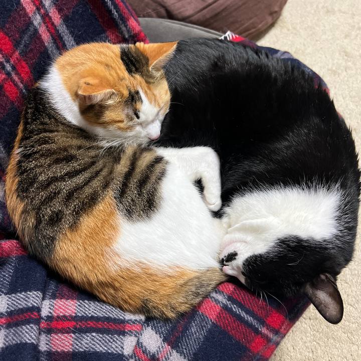 4d66b707 7d15 4d15 be8c 00434e9adaf6 1764402999042