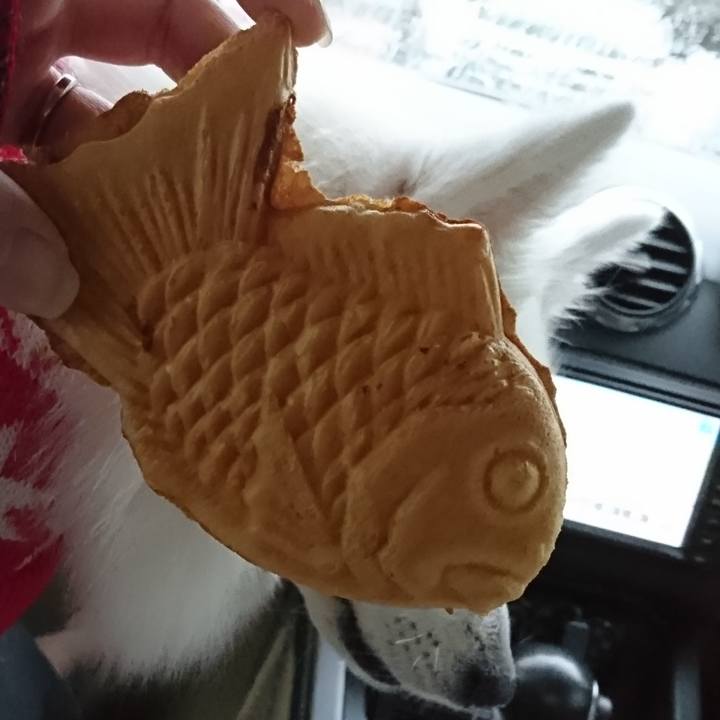 4d66e65b 59e3 4c65 94b9 ab0313a2ede1 1541313607776