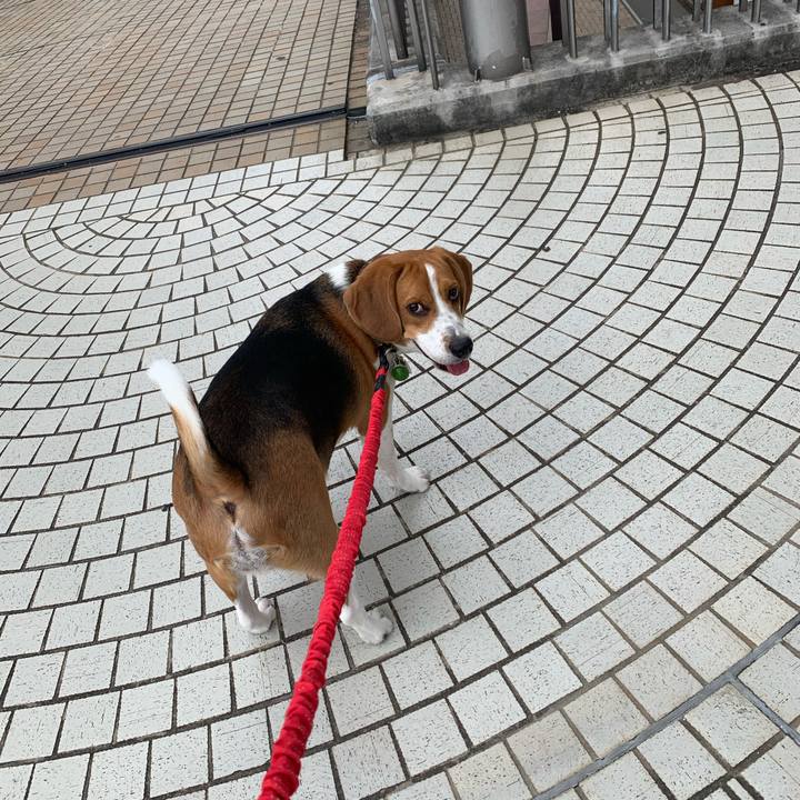 4d6718d3 f4ee 4a38 a87f 937bc20843e9 1590465551987