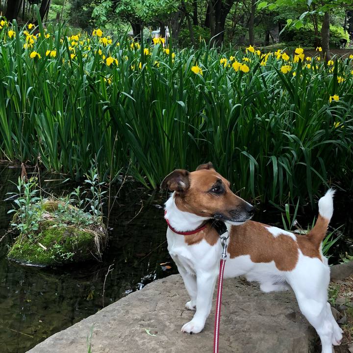 4d671ade 4393 44a4 ba45 85a79f015c00 1525647976373