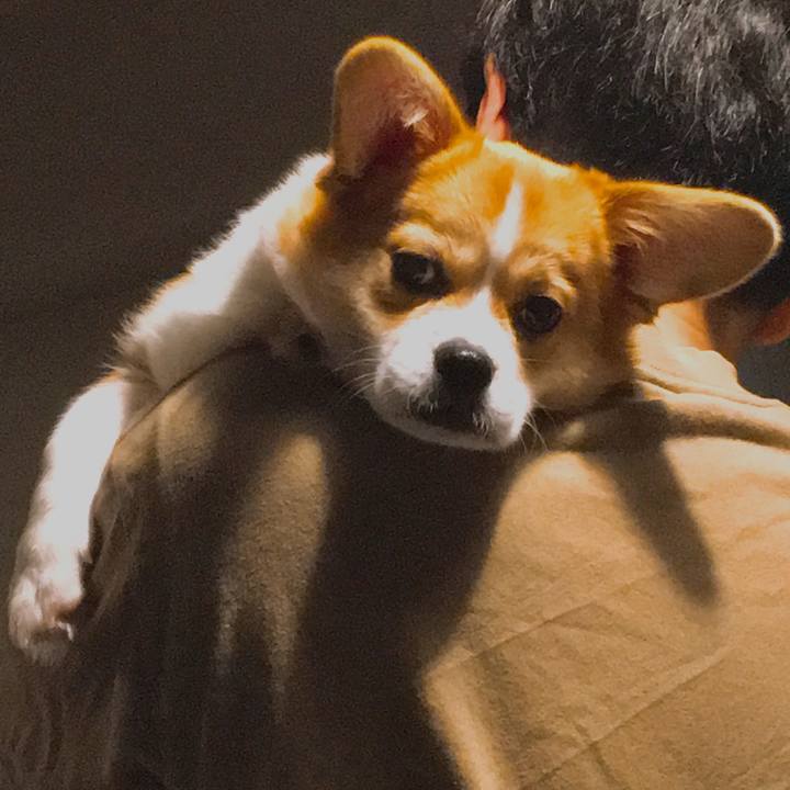 4d671f18 471f 41c7 93d0 a230b31529cd 1564104060241