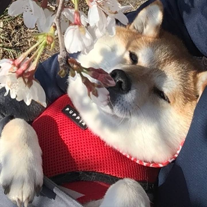 4d672ca9 61ed 4f42 ad9c 66b6334aeb64 1614984269925